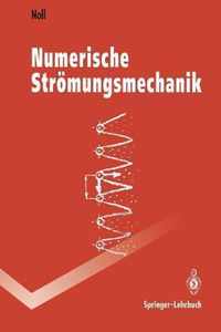 Numerische Stroemungsmechanik