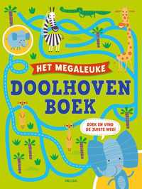 Het megaleuke doolhovenboek