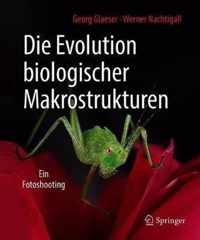 Die Evolution biologischer Makrostrukturen